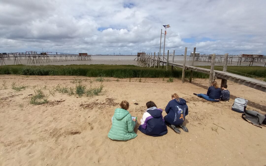 Sortie Estuaire pour les élèves de 6e